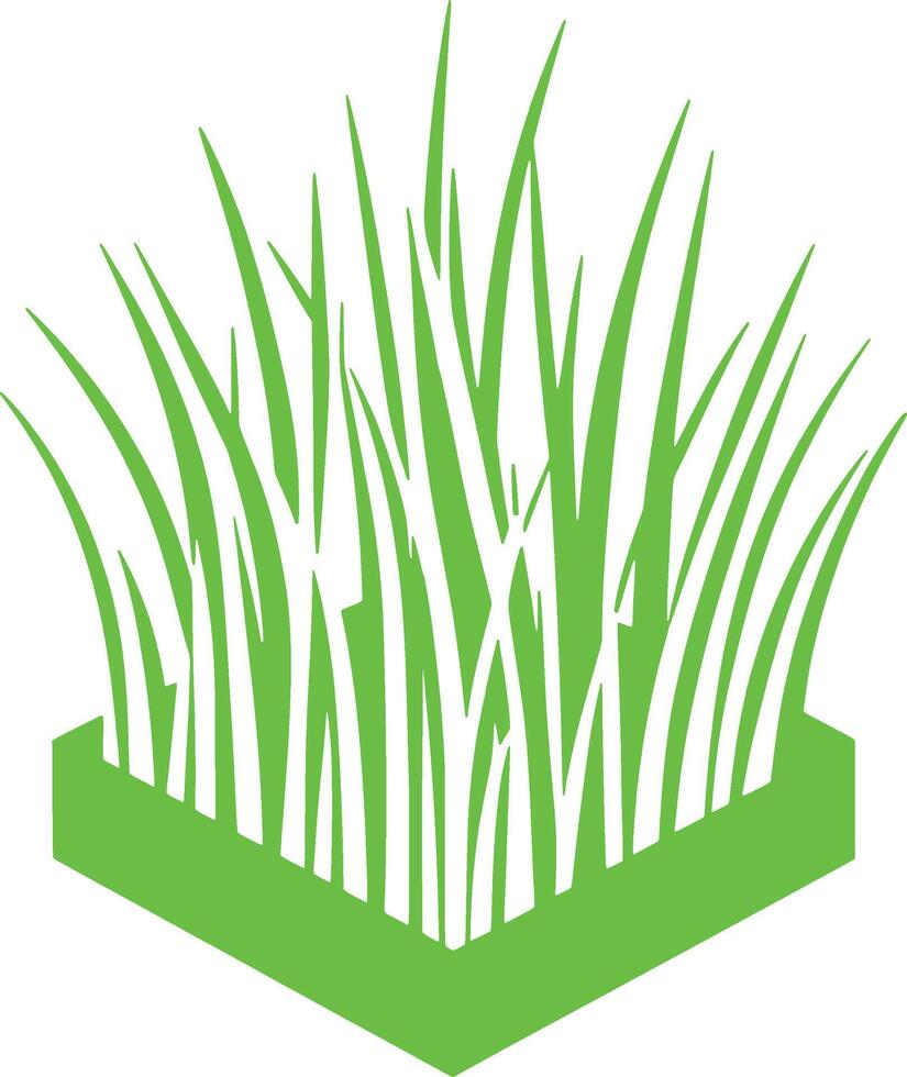 green grass in a square box vector