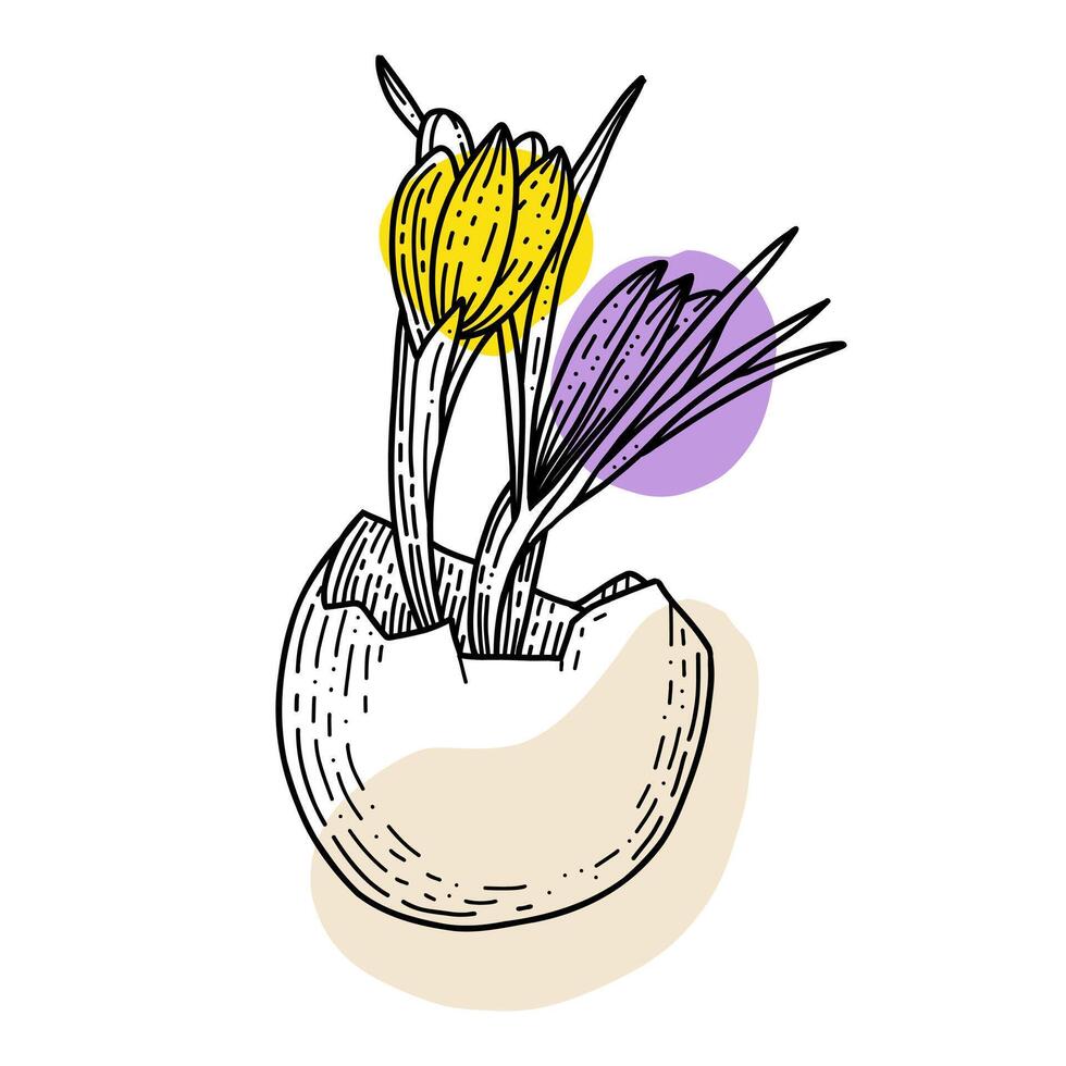 Easter egg with crocus flowers, hand drawn doodle vector. Trendy Easter design. vector