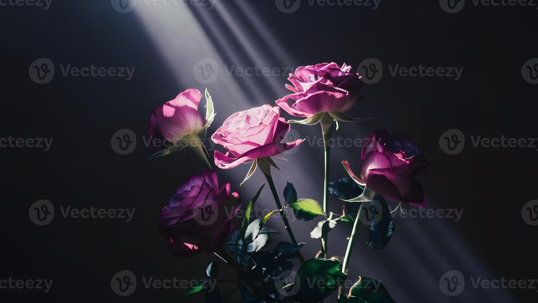 AI generated Abstract shot of purple roses with beam of light photo