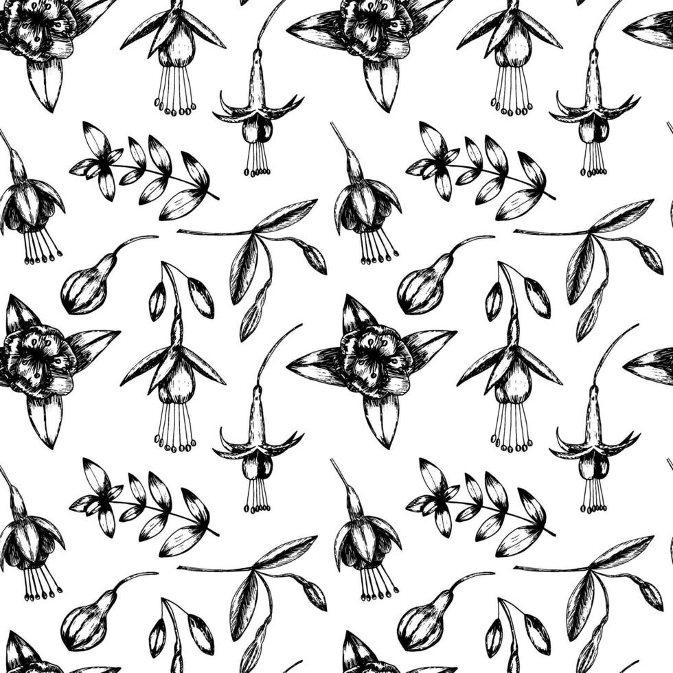 Vector fuchsia flowers seamless pattern. Hand drawn fuchsia flowers pattern on white background