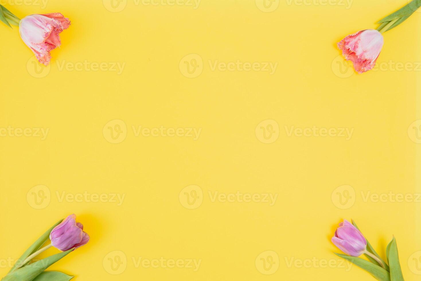 Fresh Spring Tulips Flowers Concept Woman's day Greeting Card Mother's Day Valentines Yellow Background Natural Light Selective Focus photo