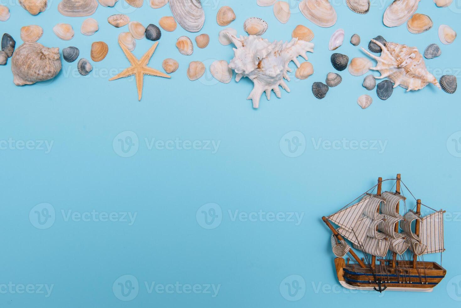 plano poner. parte superior vista. marco de conchas de varios tipos en un azul antecedentes. conchas marinas y estrella de mar en un pastel antecedentes. vacaciones concepto. viaje concepto. con Copiar espacio foto