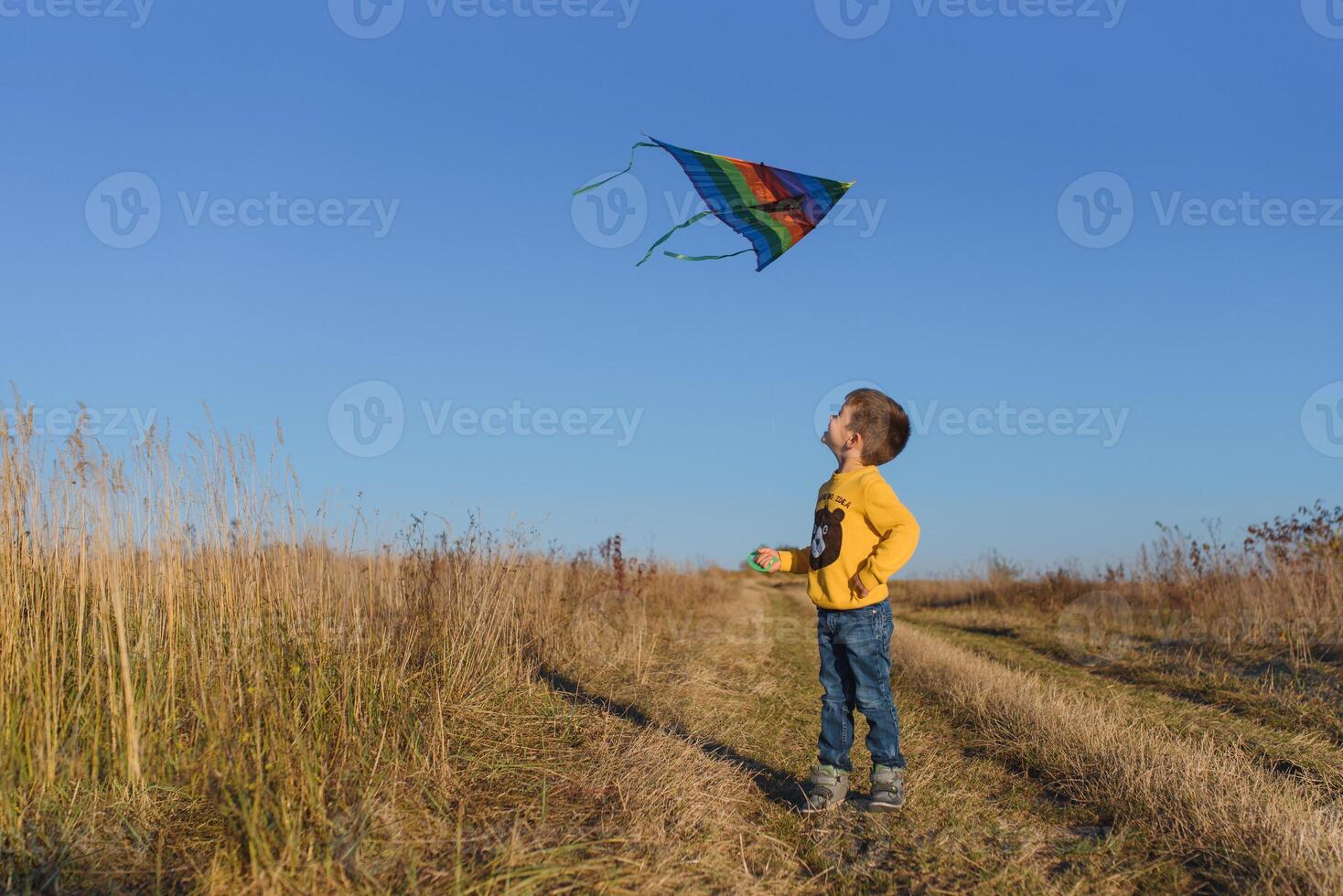 Happy child playing with a kite while running on meadow, sunset, in summer day. Funny time with family. Little boy launch a kite. photo