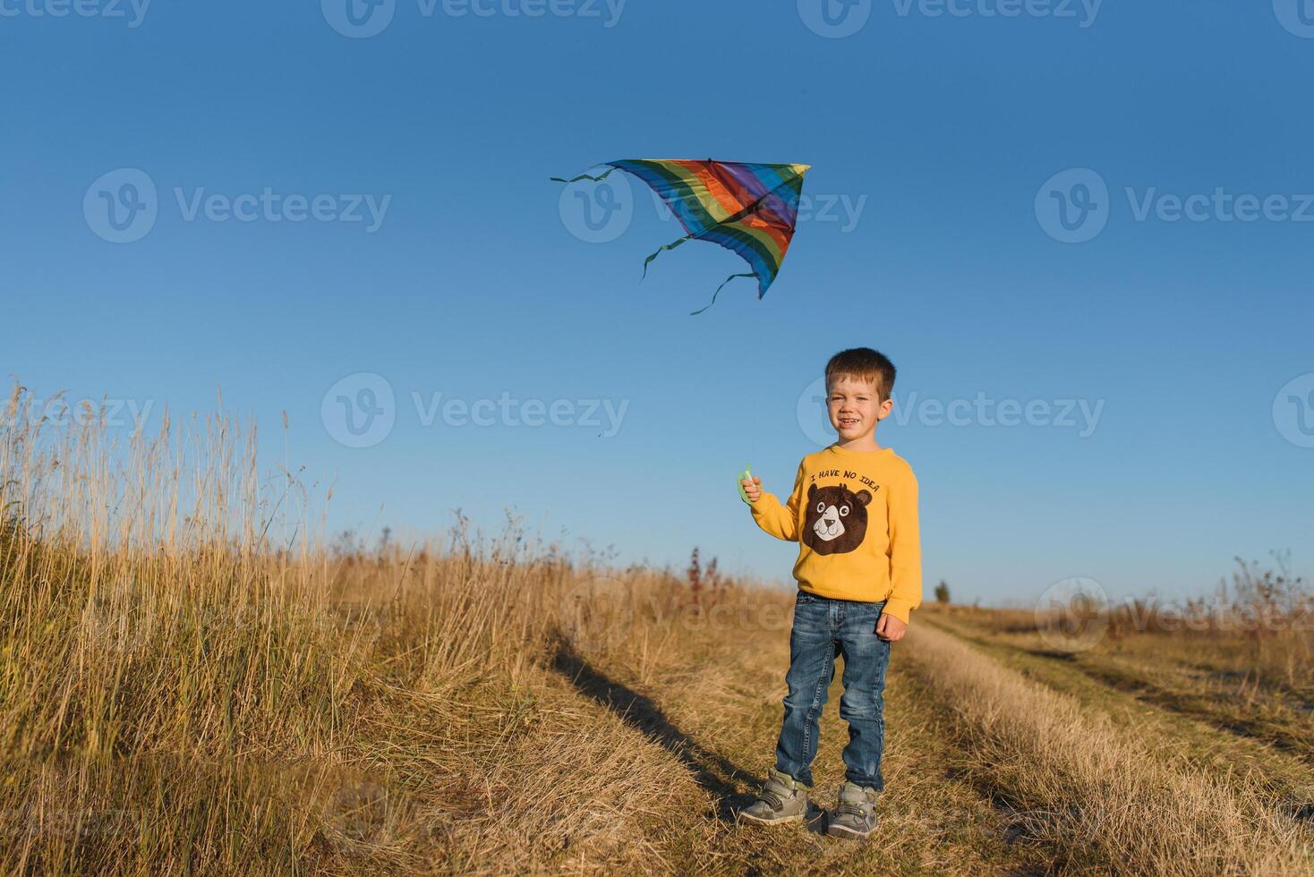 contento niño jugando con un cometa mientras corriendo en prado, atardecer, en verano día. gracioso hora con familia. pequeño chico lanzamiento un cometa. foto