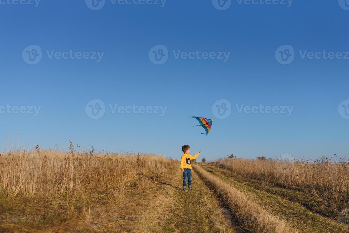 pequeño chico jugando con cometa en prado. infancia concepto foto