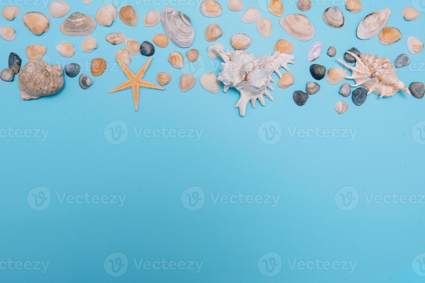 Flat lay. Top view. Frame of shells of various kinds on a blue background. Seashells and starfish on a pastel background. Vacation concept. travel concept. with copy space photo