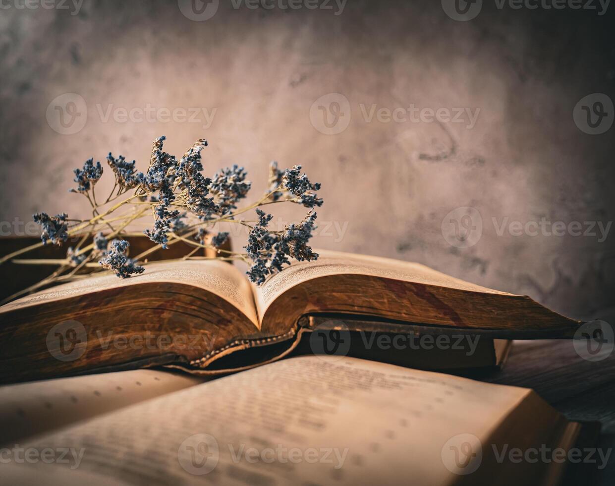 Old books and flowers photo