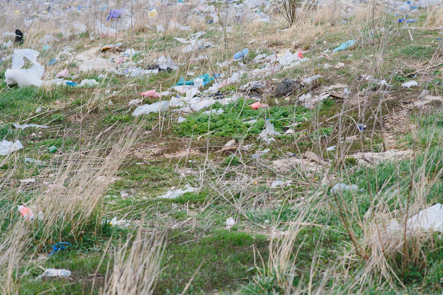 Ecological pollution of nature. Plastic bag tangled in plants against the backdrop of the mountains. Global environmental pollution. Recycling, clearing the land from plastic debris. photo