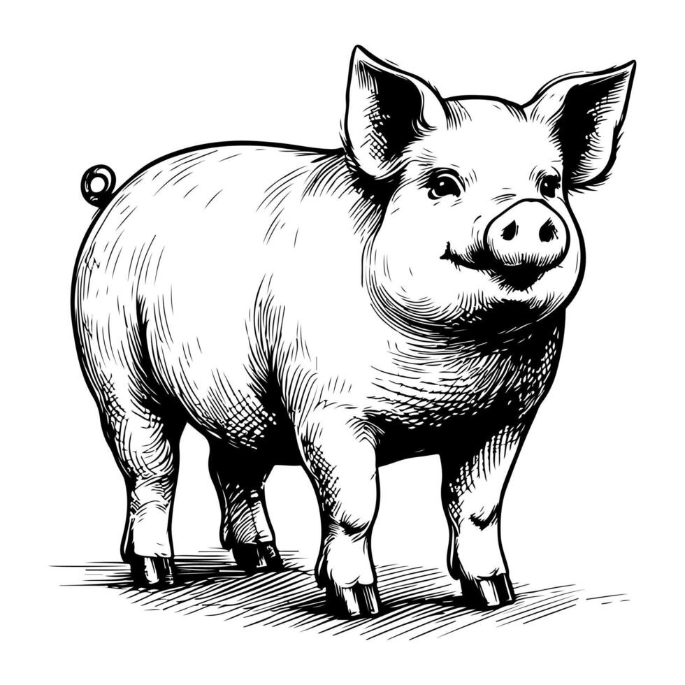 AI generated hand draw black sketch Big fat pig vector illustration isolated on white background