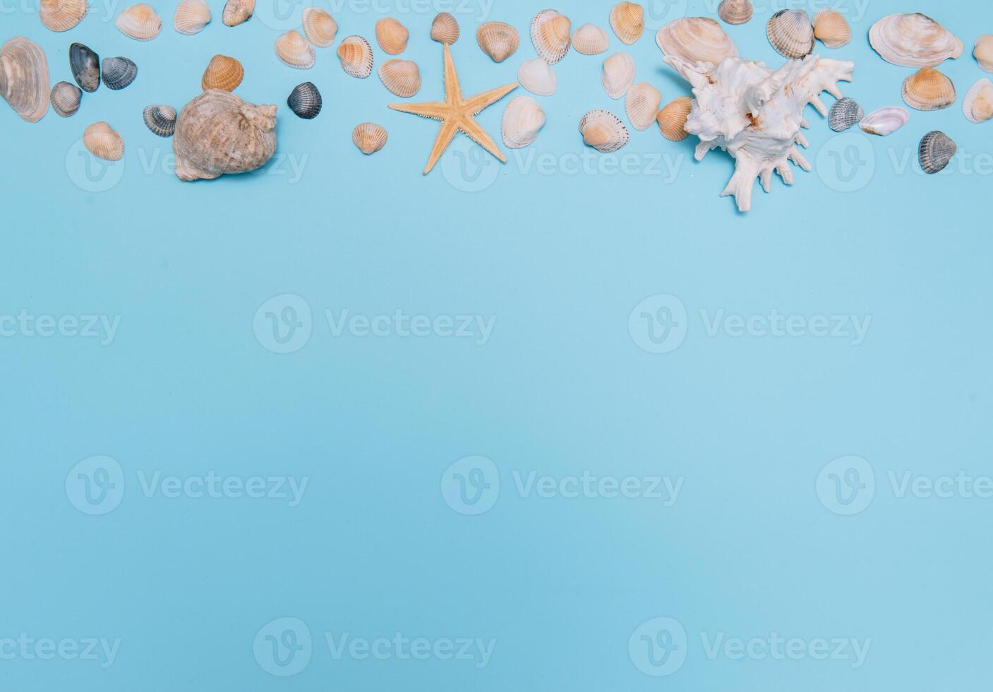 Flat lay. Top view. Frame of shells of various kinds on a blue background. Seashells and starfish on a pastel background. Vacation concept. travel concept. with copy space photo