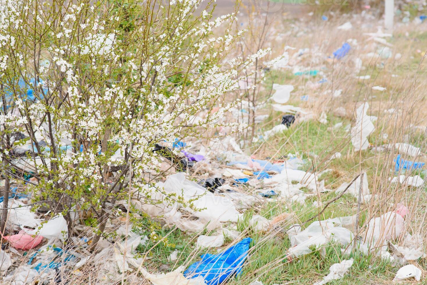 Ecological pollution of nature. Plastic bag tangled in plants against the backdrop of the mountains. Global environmental pollution. Recycling, clearing the land from plastic debris. photo