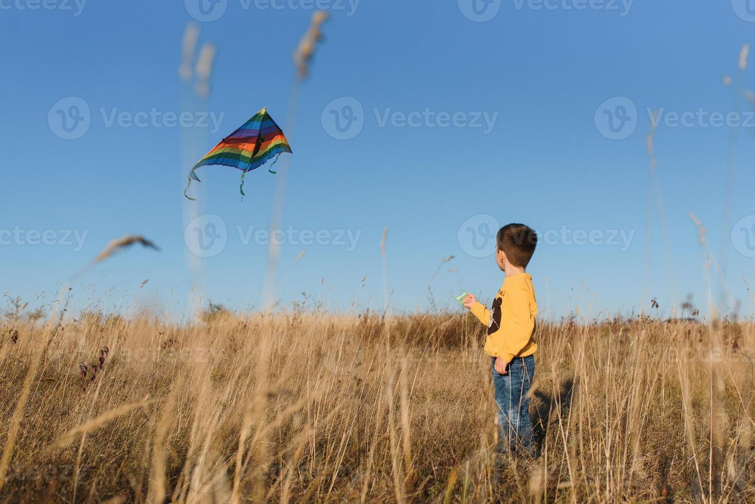 Happy child playing with a kite while running on meadow, sunset, in summer day. Funny time with family. Little boy launch a kite. photo