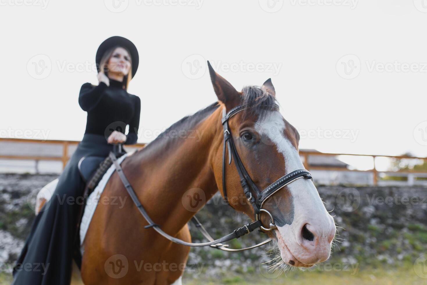 Young woman physiotherapist taking care a brown horse. Woman making a treatment in the shoulder, crest, forehead, muzzle and chin groove. photo