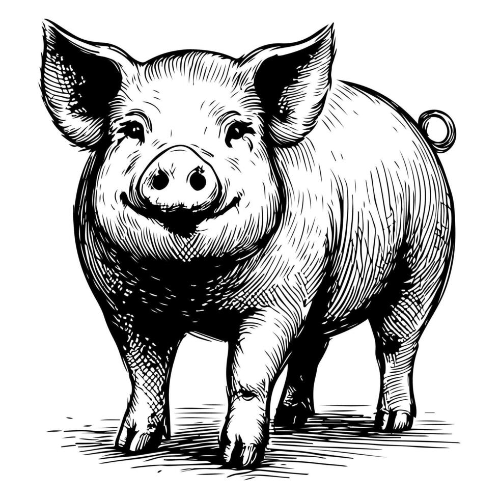 AI generated hand draw black sketch Big fat pig vector illustration isolated on white background