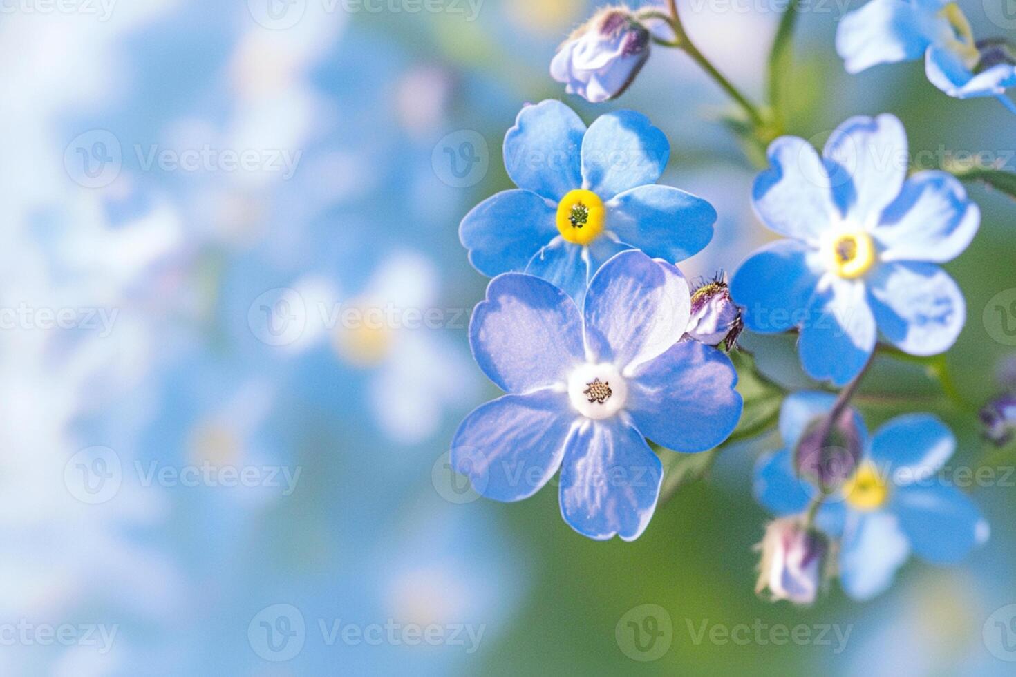 AI generated Inspirational blooms Forget me not flowers in macro, a springtime symphony photo