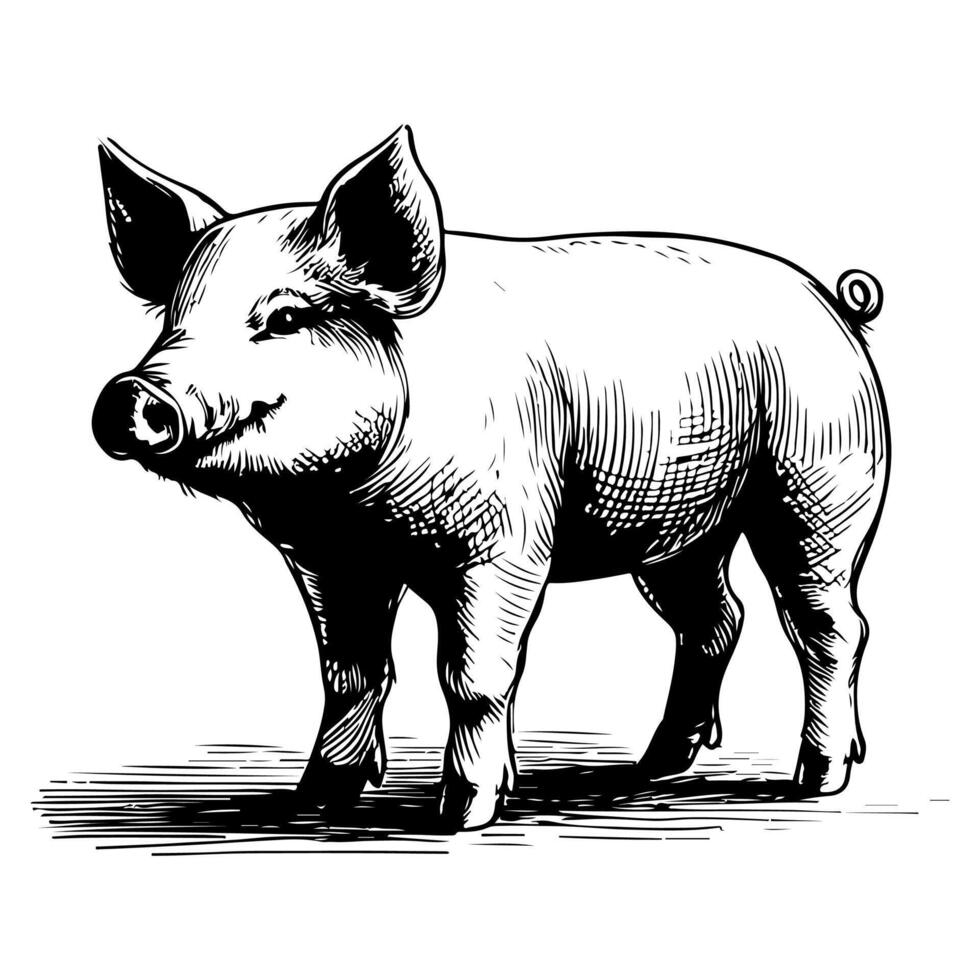 AI generated hand draw black sketch Big fat pig vector illustration isolated on white background