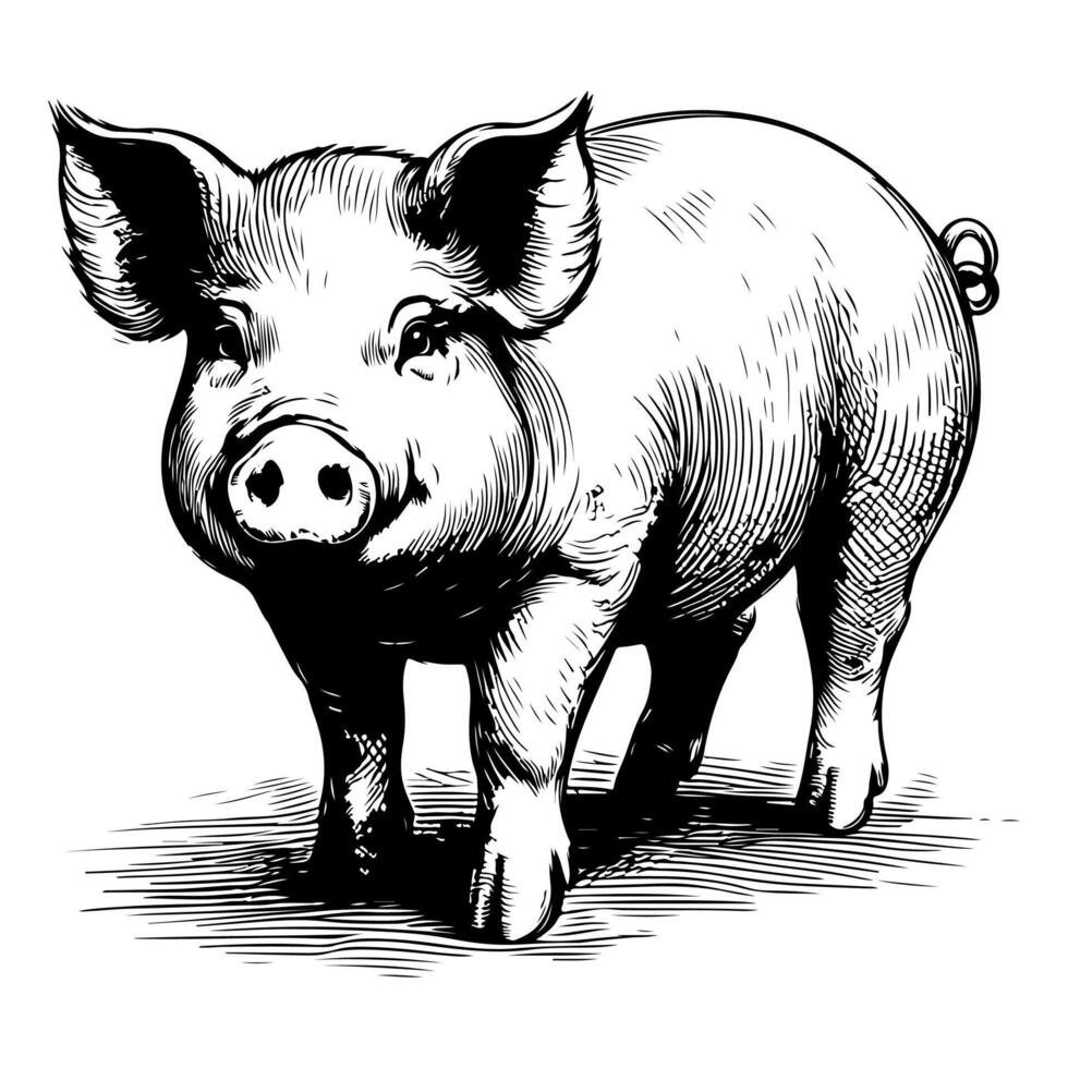 AI generated hand draw black sketch Big fat pig vector illustration isolated on white background