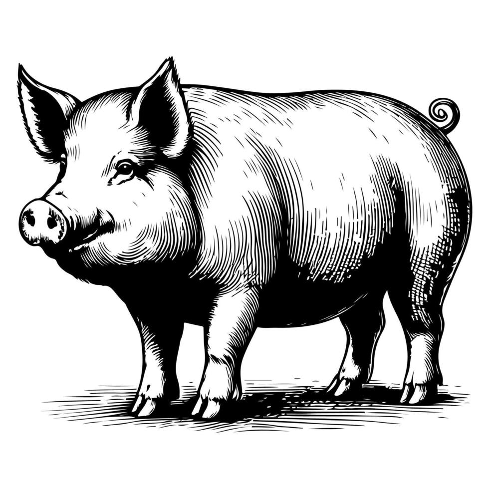 AI generated hand draw black sketch Big fat pig vector illustration isolated on white background