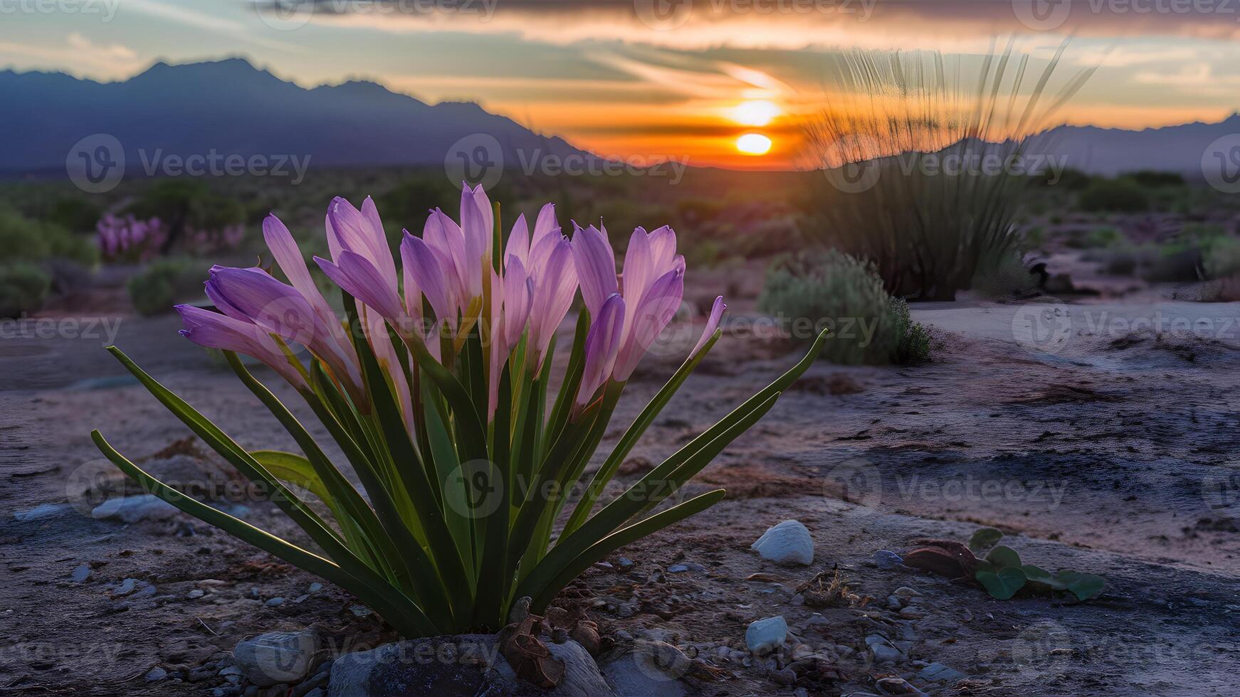 AI generated Flower blooms in the desert symbolize hope and resilience photo