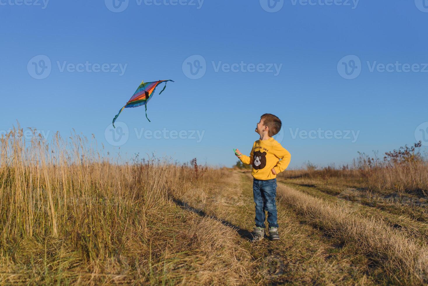 Little boy playing with kite on meadow. Childhood concept photo