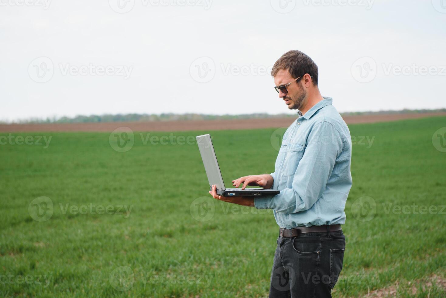 farmer standing in young wheat field examining crop and looking at laptop. photo