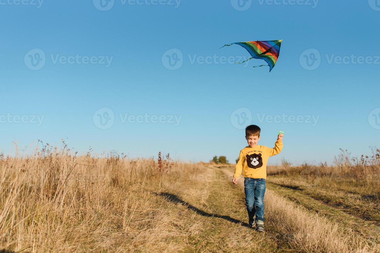 Little boy playing with kite on meadow. Childhood concept photo