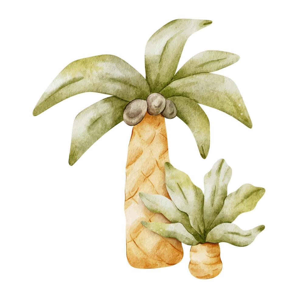 Palm trees with leaves. Isolated hand drawn watercolor illustration. A clipart of tropical trees with coconut for children's invitation cards, parties, baby shower, decoration of kid's rooms vector