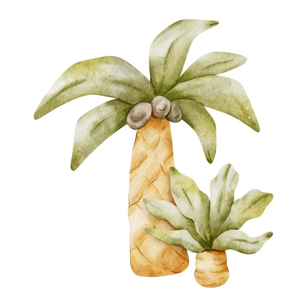 palma arboles con hojas. aislado mano dibujado acuarela ilustración. un clipart de tropical arboles con Coco para para niños invitación tarjetas, fiestas, bebé ducha, decoración de niño habitaciones vector