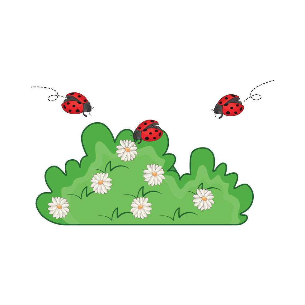 illustration of grass and ladybug vector