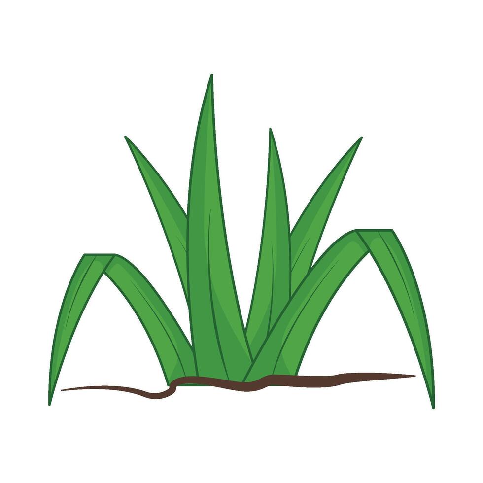 illustration of grass vector