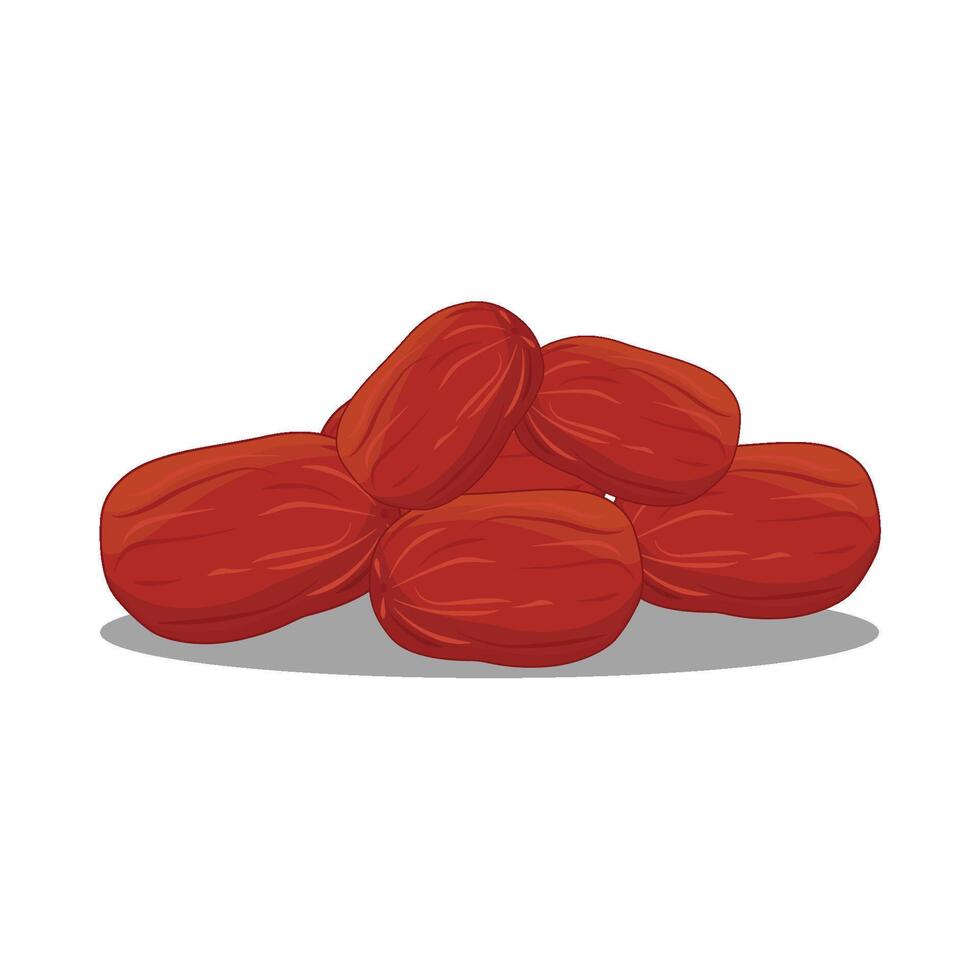 illustration of kurma vector