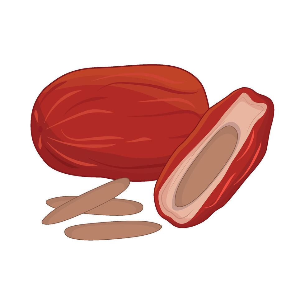 illustration of kurma vector