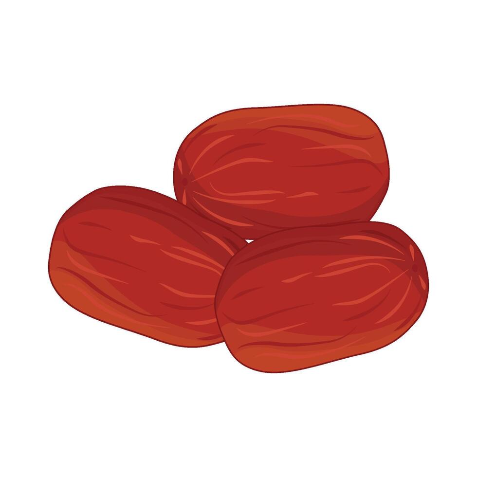 illustration of kurma vector
