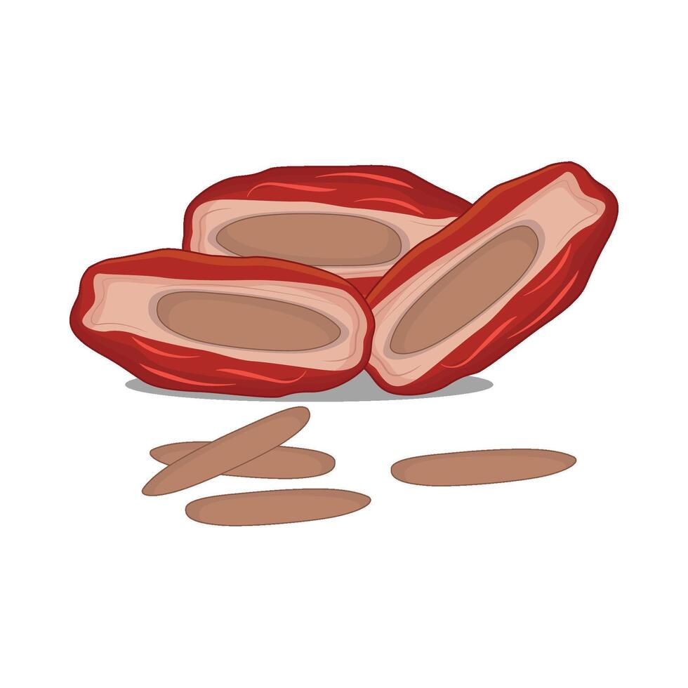illustration of kurma vector