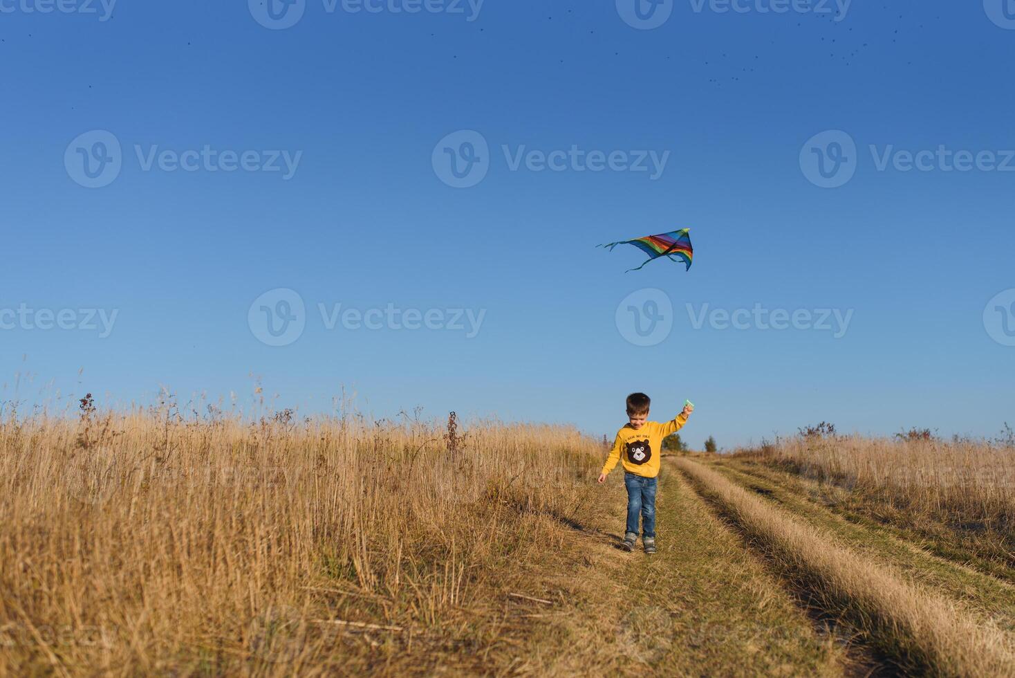 Happy child playing with a kite while running on meadow, sunset, in summer day. Funny time with family. Little boy launch a kite. photo