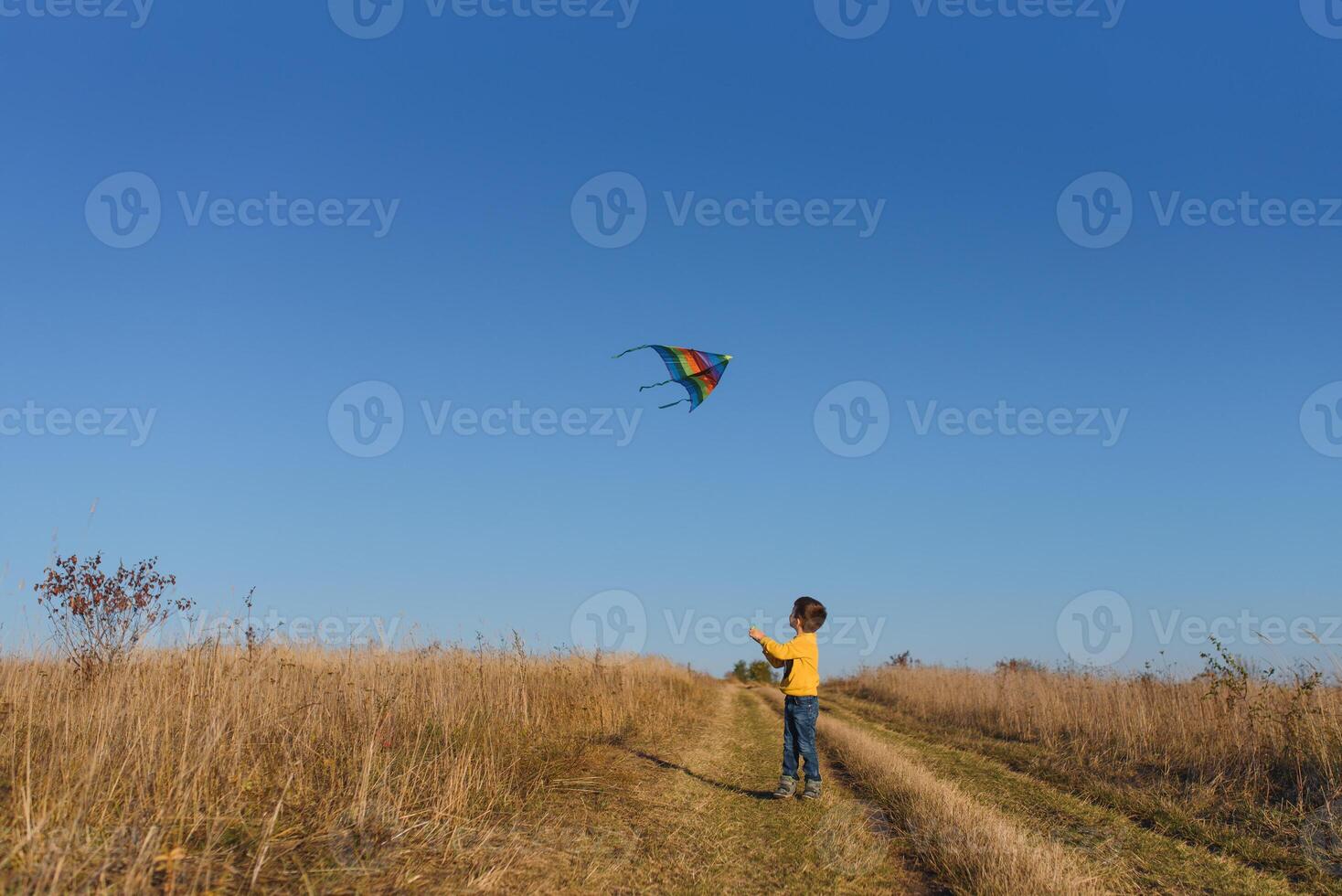 pequeño chico jugando con cometa en prado. infancia concepto foto