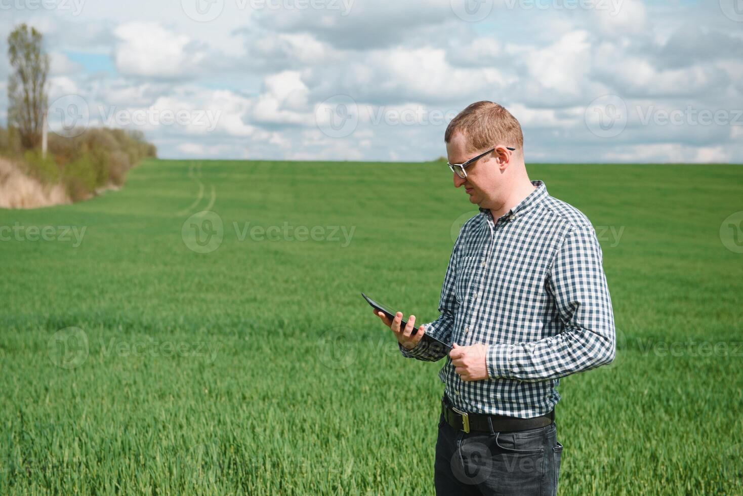 An agronomist investigates the ripening process of young wheat in the field. Agricultural business concept. The farmer works on a wheat field and inspects the quality of wheat sprouts. photo