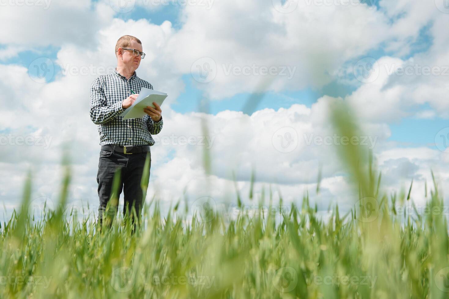 Young farmer on a wheat field. Young wheat in spring. Agriculture concept. An agronomist examines the process of ripening wheat in the field. The concept of the agricultural business. photo