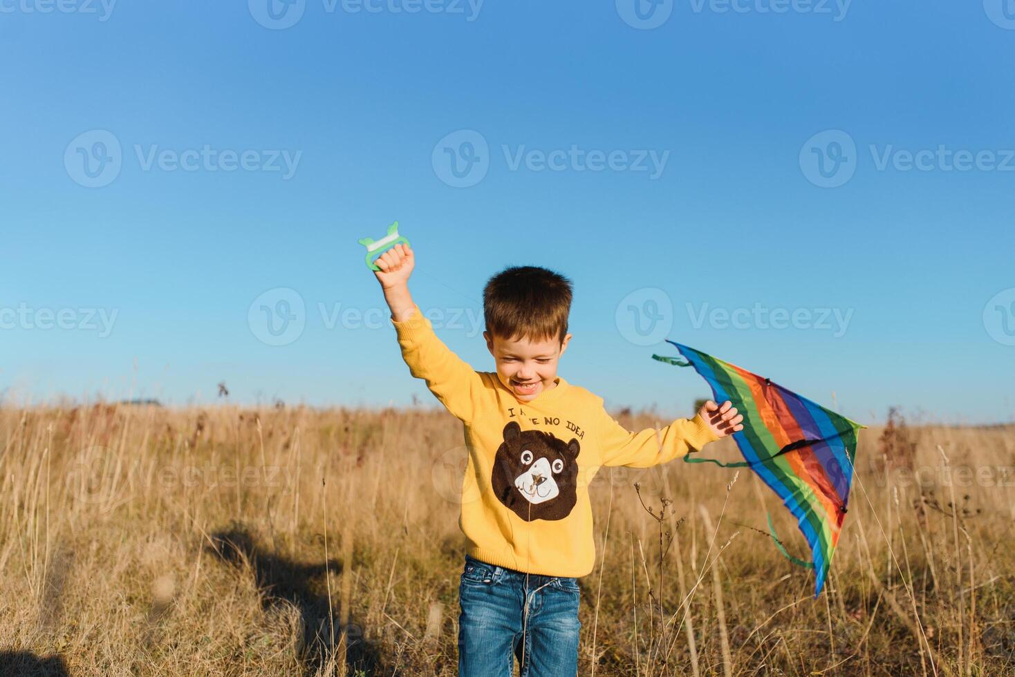 pequeño chico jugando con cometa en prado. infancia concepto foto