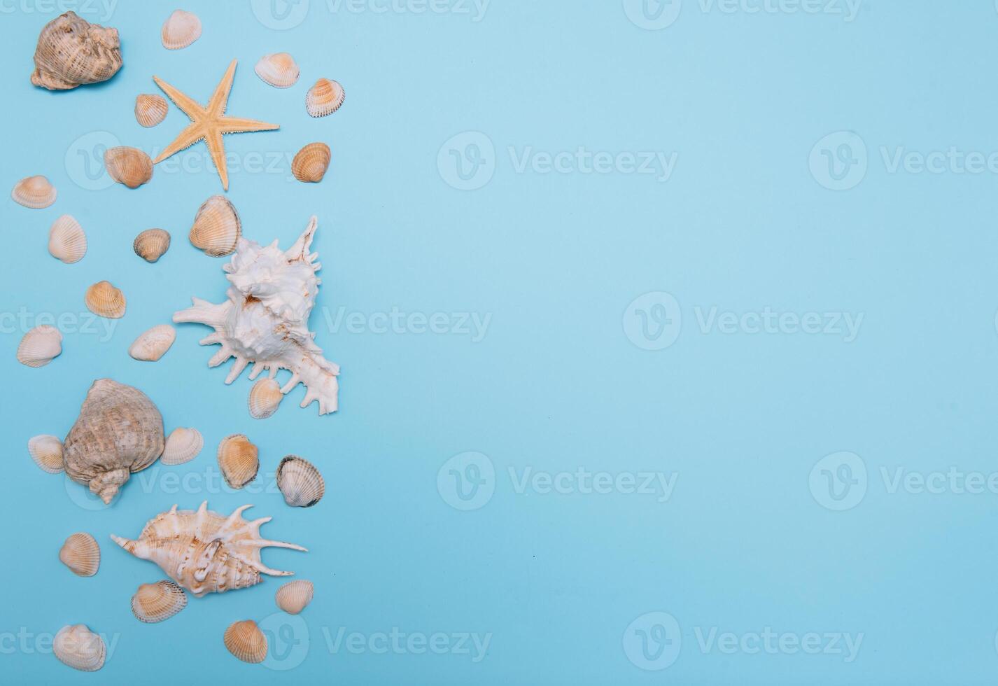 Flat lay. Top view. Frame of shells of various kinds on a blue background. Seashells and starfish on a pastel background. Vacation concept. travel concept. with copy space photo