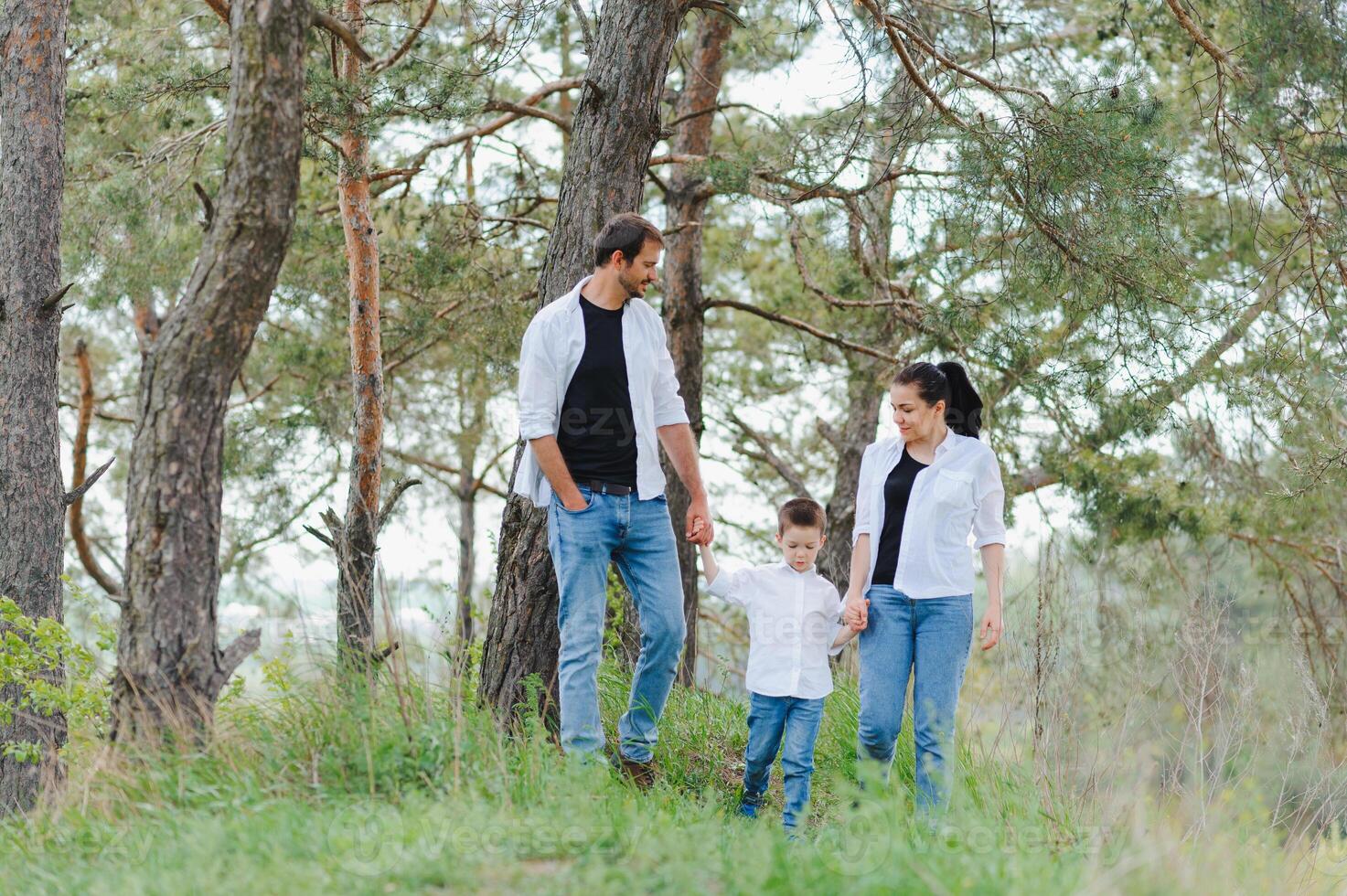 papá, mamá y pequeño hijo teniendo divertido juntos, al aire libre. familia caminar en parque. contento familia al aire libre. familia, vacaciones concepto foto