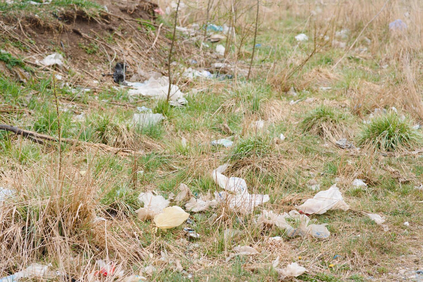 ecológico contaminación de naturaleza. el plastico bolso enredado en plantas en contra el fondo de el montañas. global ambiental contaminación. reciclaje, claro el tierra desde el plastico escombros. foto