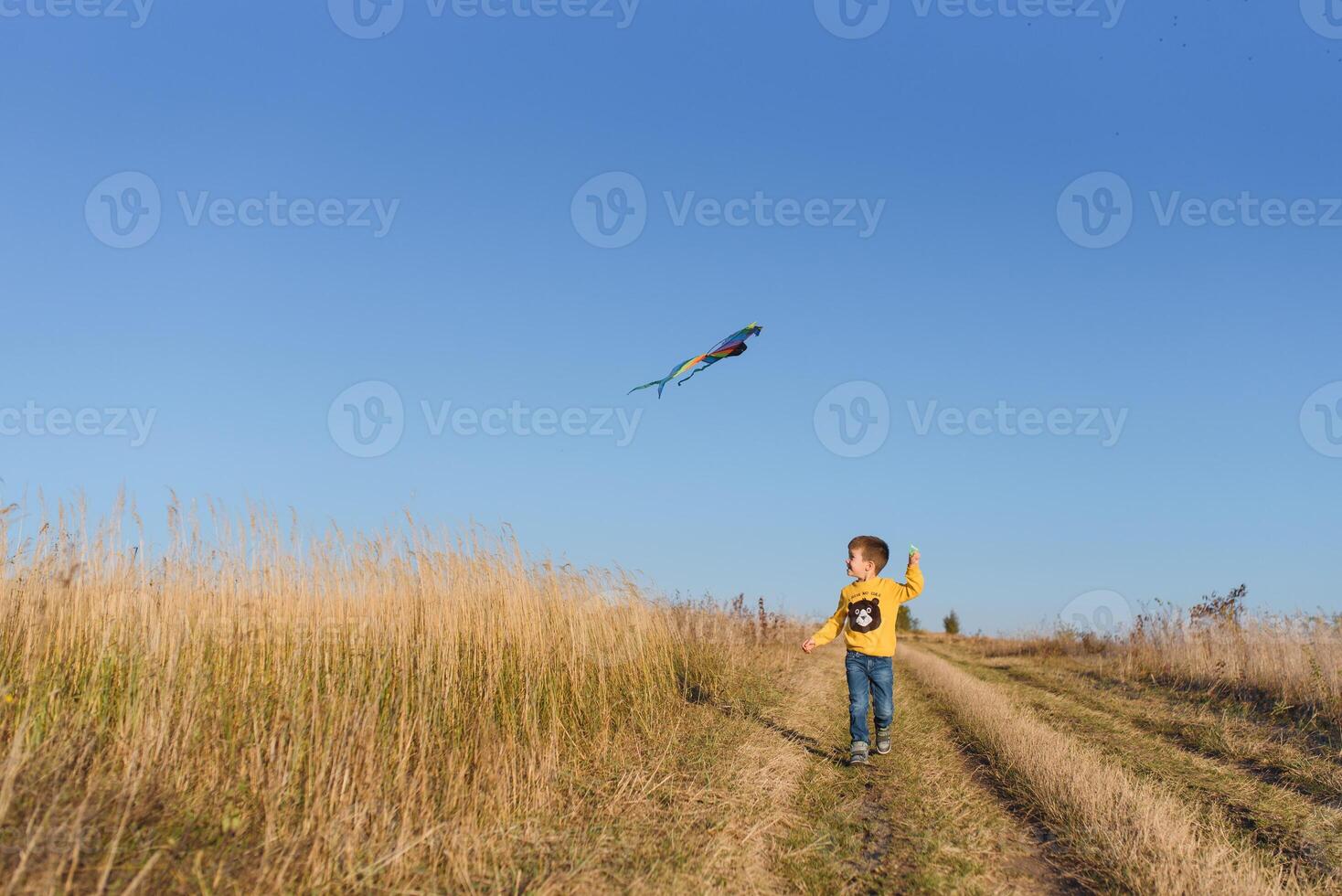 pequeño chico jugando con cometa en prado. infancia concepto foto