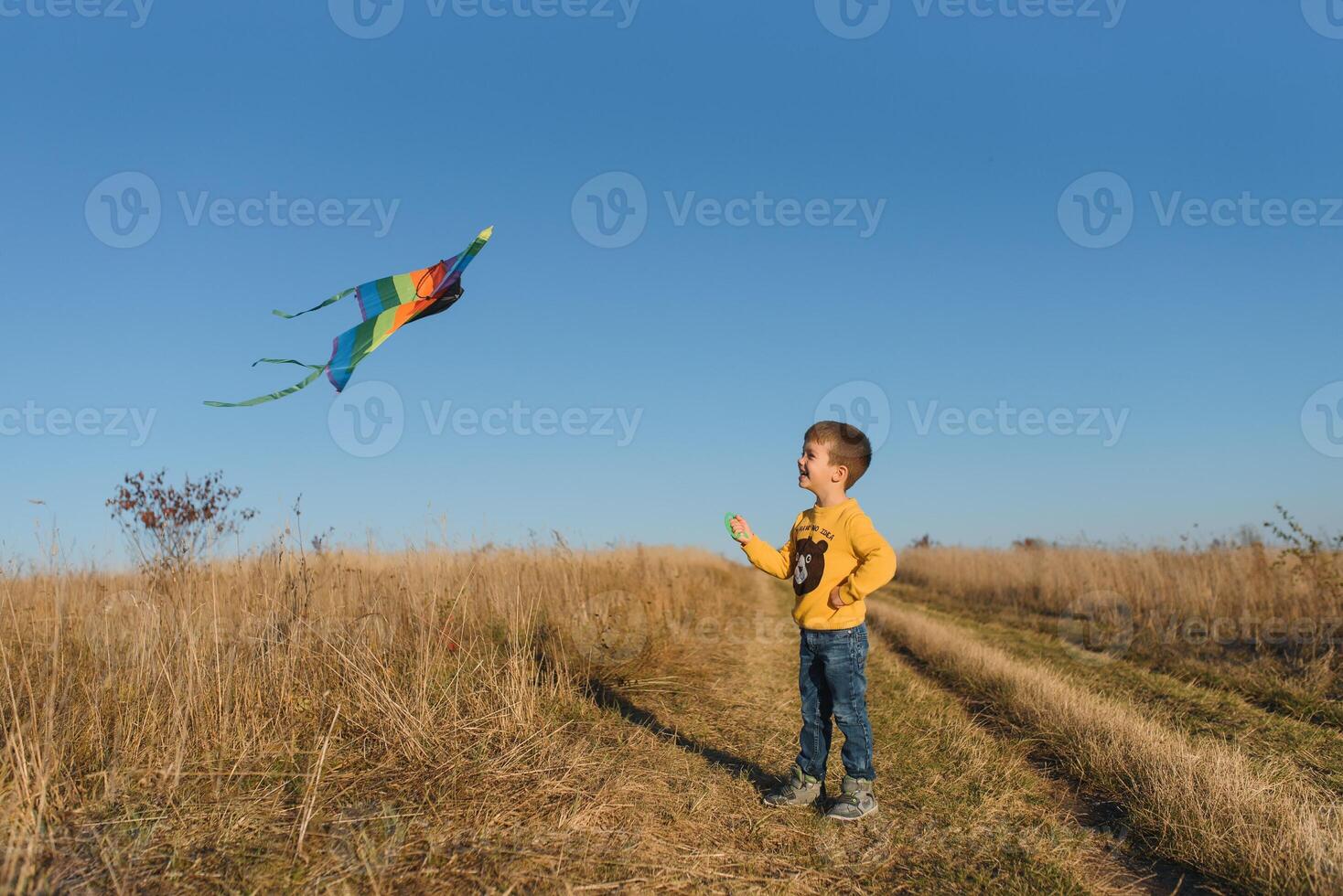 contento niño jugando con un cometa mientras corriendo en prado, atardecer, en verano día. gracioso hora con familia. pequeño chico lanzamiento un cometa. foto