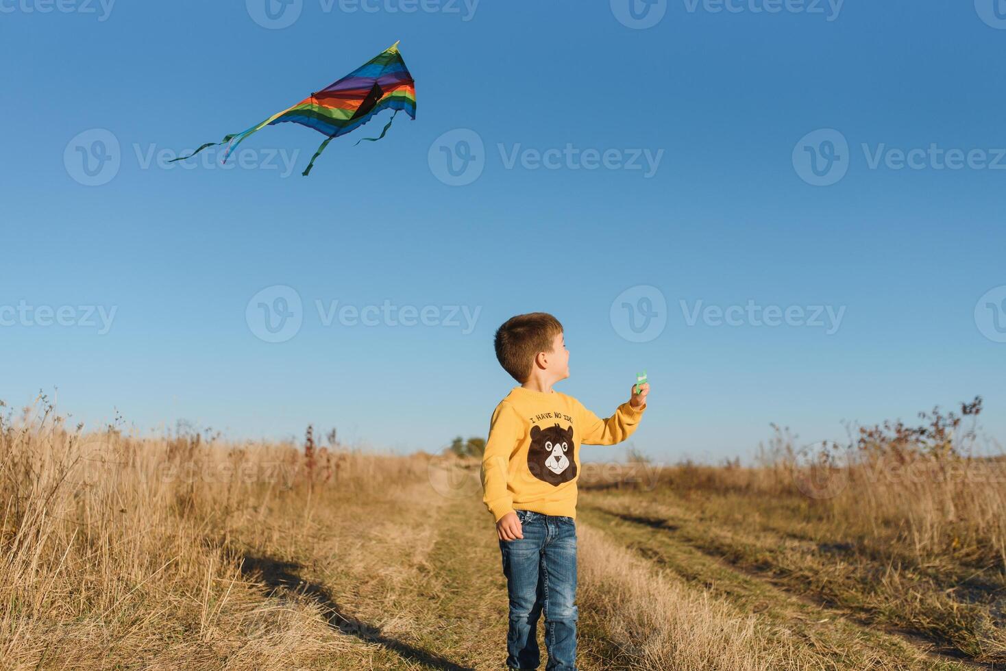 pequeño chico con cometa volador terminado su cabeza foto