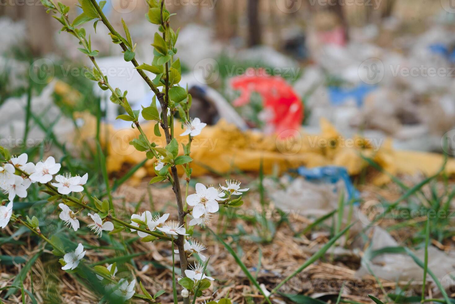 Ecological pollution of nature. Plastic bag tangled in plants against the backdrop of the mountains. Global environmental pollution. Recycling, clearing the land from plastic debris. photo