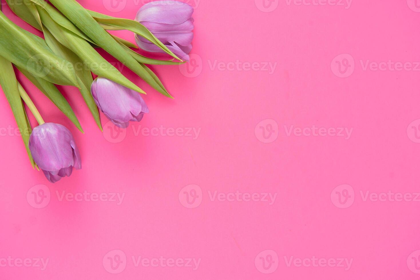 Floral background with tulips flowers on pink pastel background. Flat lay, top view. Woman day background. photo