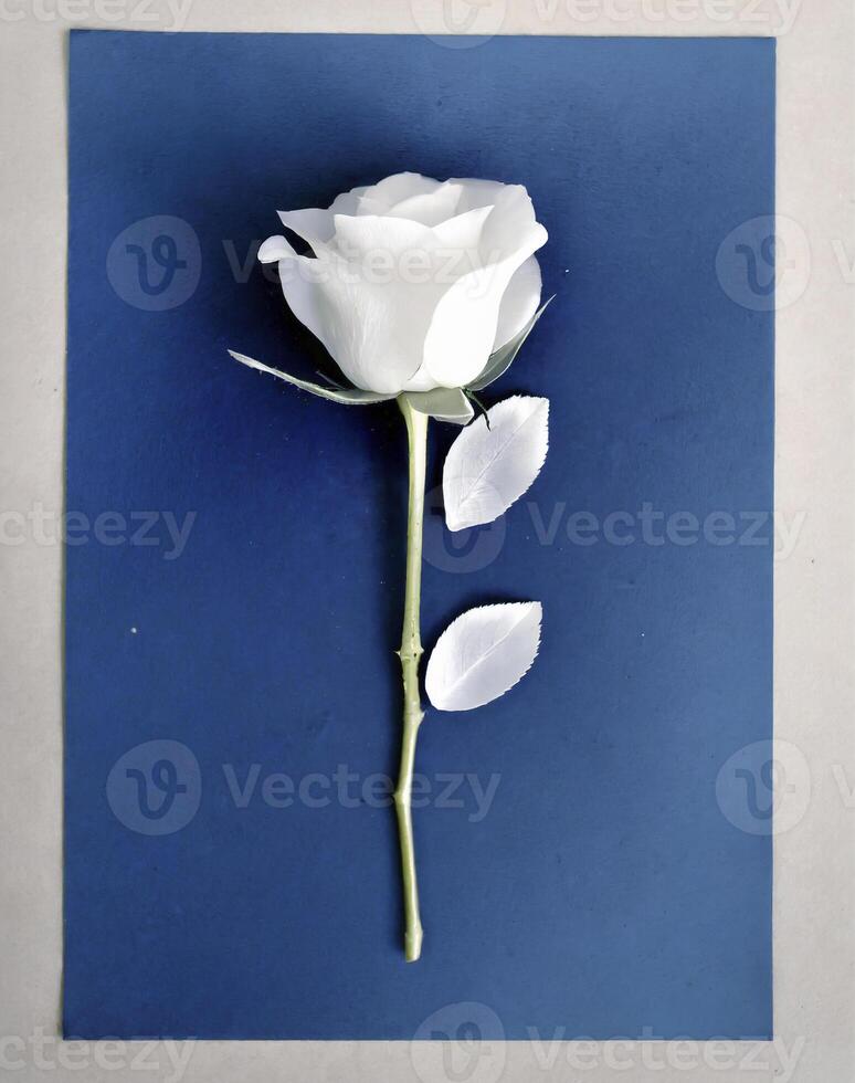 AI generated a flat scan of a cyanotype of a flower with blue paper photo