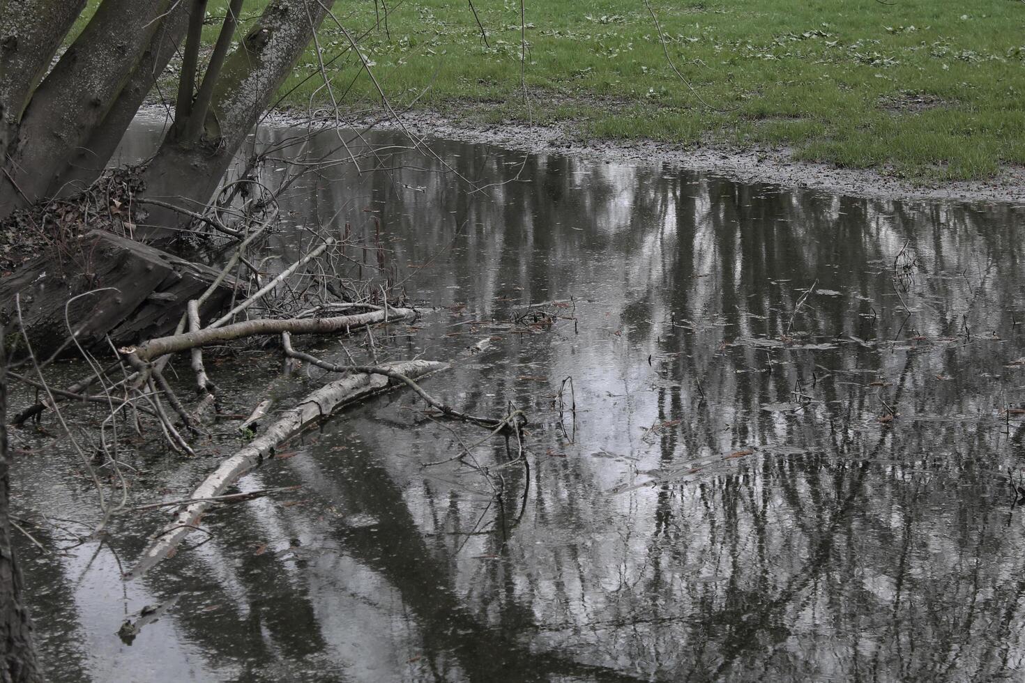 nature background photo