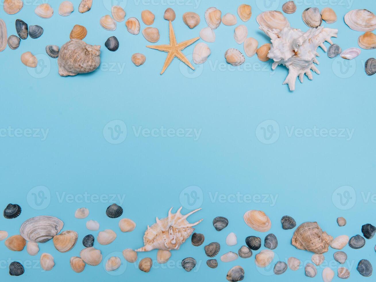 Flat lay. Top view. Frame of shells of various kinds on a blue background. Seashells and starfish on a pastel background. Vacation concept. travel concept. with copy space photo